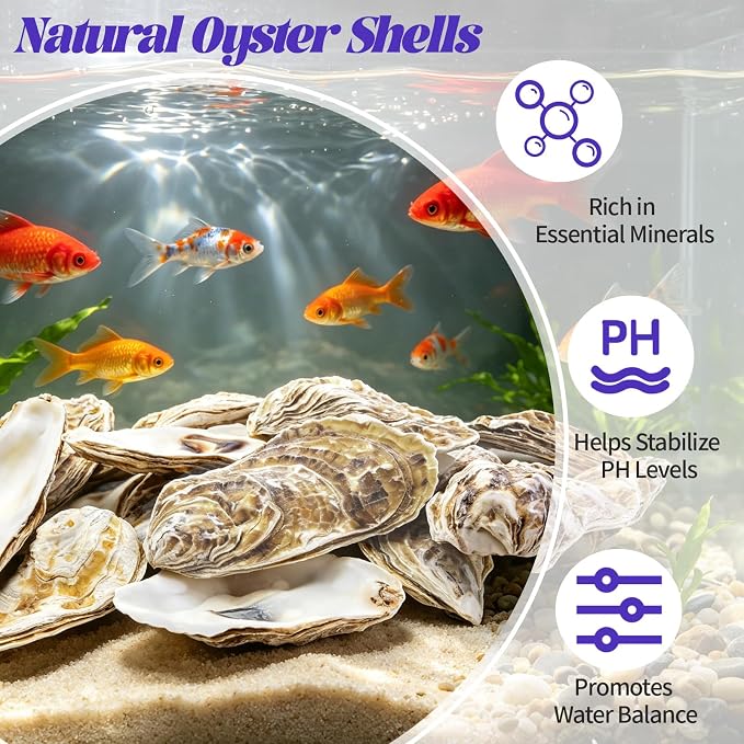 SINKOO 20PCS Flat Oyster Shells 4"-6", Large Oyster Shells - Image 5