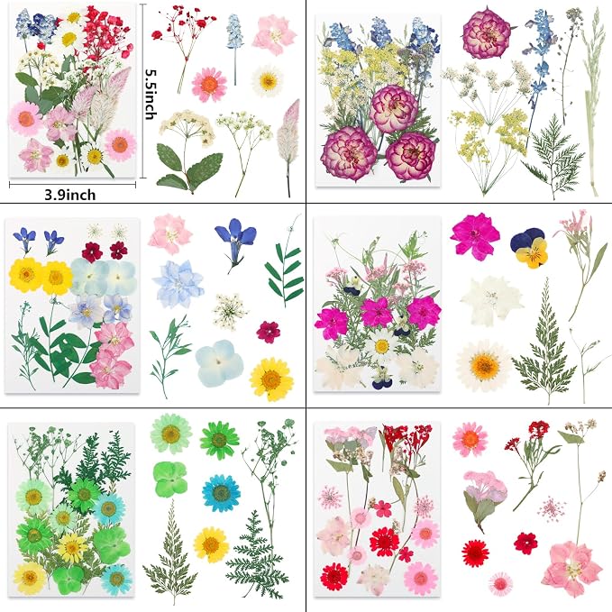 NESCCI 428 Pcs Dried Pressed Flowers - Image 4