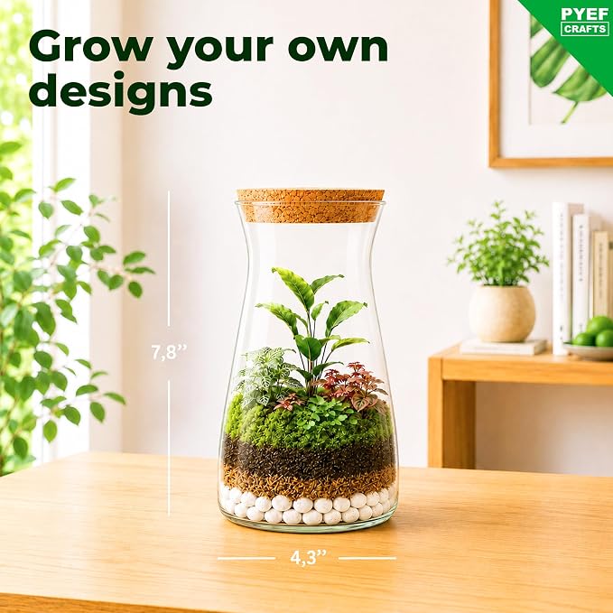 Terrarium Kit for Plants DIY | Starter Pack – Closed Ecosystem – 34 fl oz Glass - Image 4