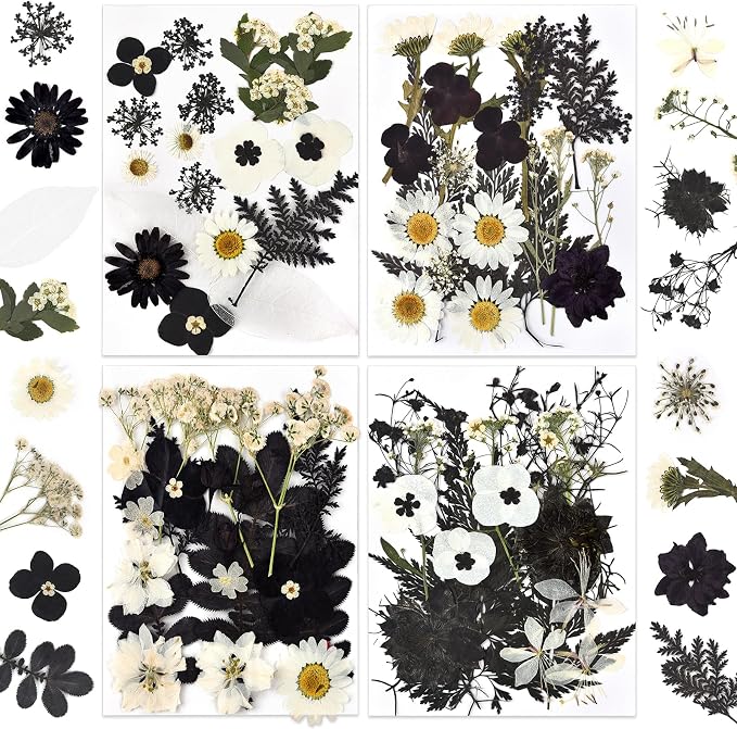DALARAN Black Dried Pressed Flowers by DALARAN