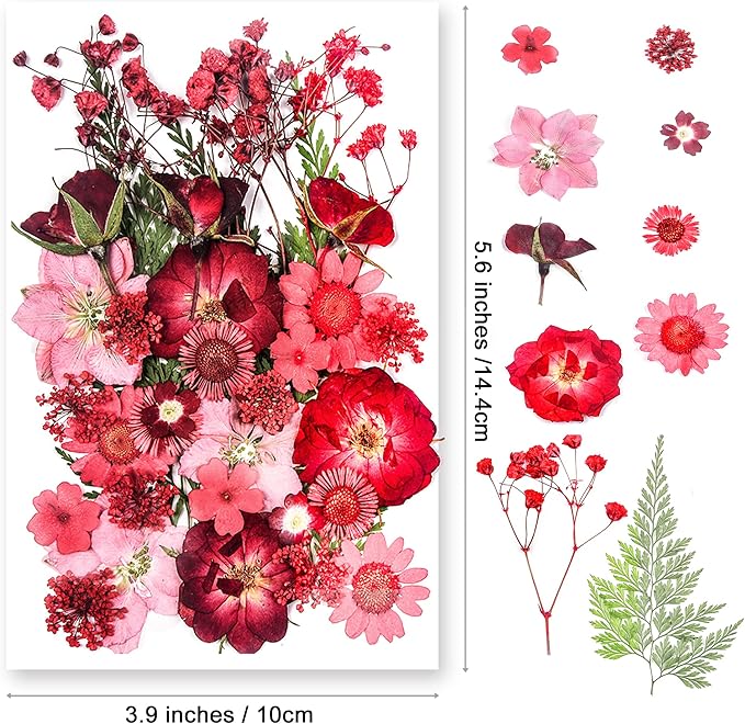 15 Types 37pcs Red Dried Pressed Flowers - Image 2