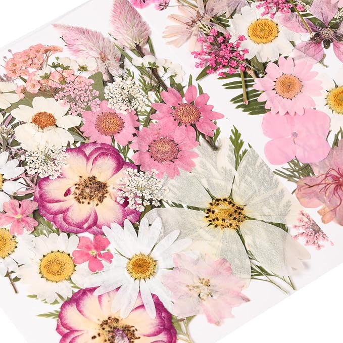 80PCS Pink Pressed Dried Flowers Dry Leaves - Image 5