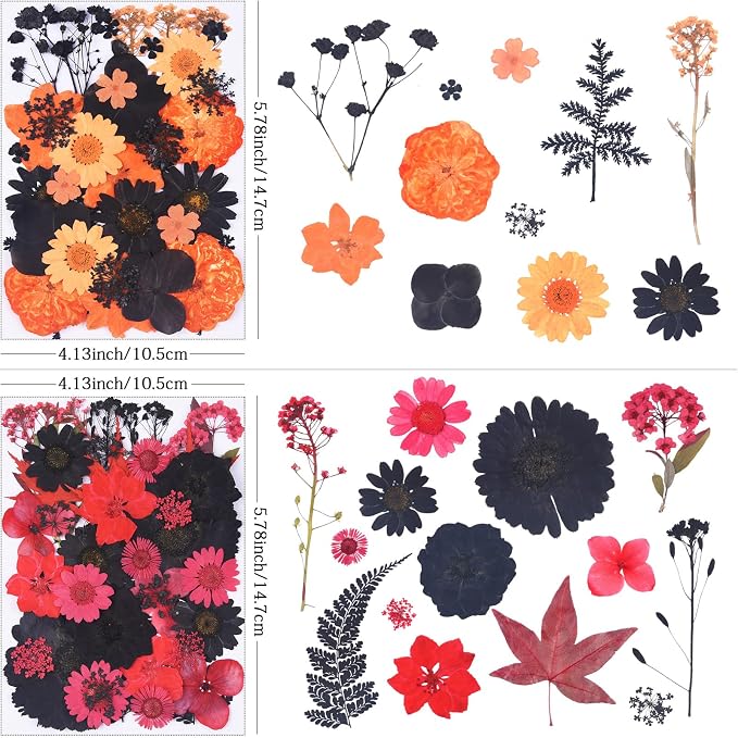 154Pcs Black Dried Pressed Flowers - Image 2
