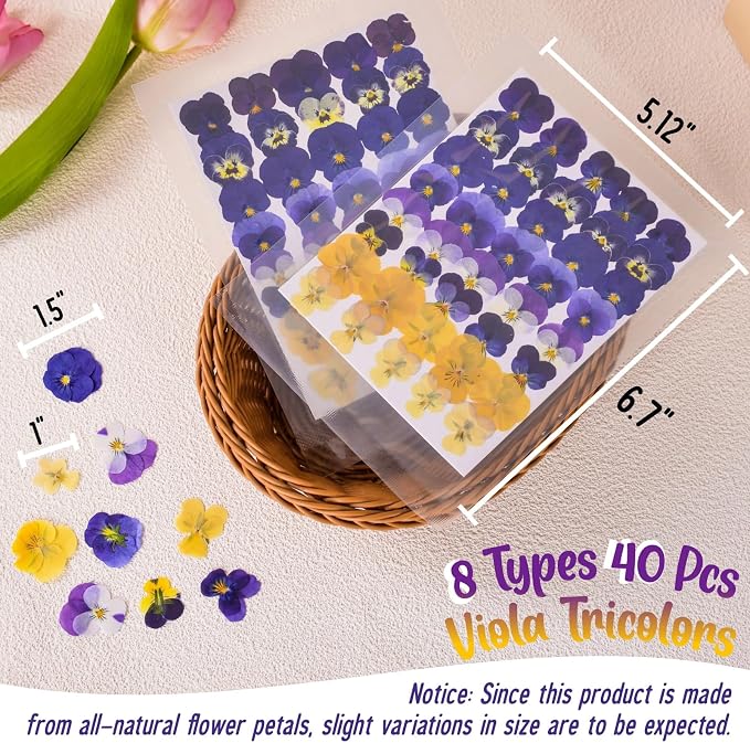 40 Pcs 8 Kinds Natural Dried Pressed Edible Flowers - Image 6