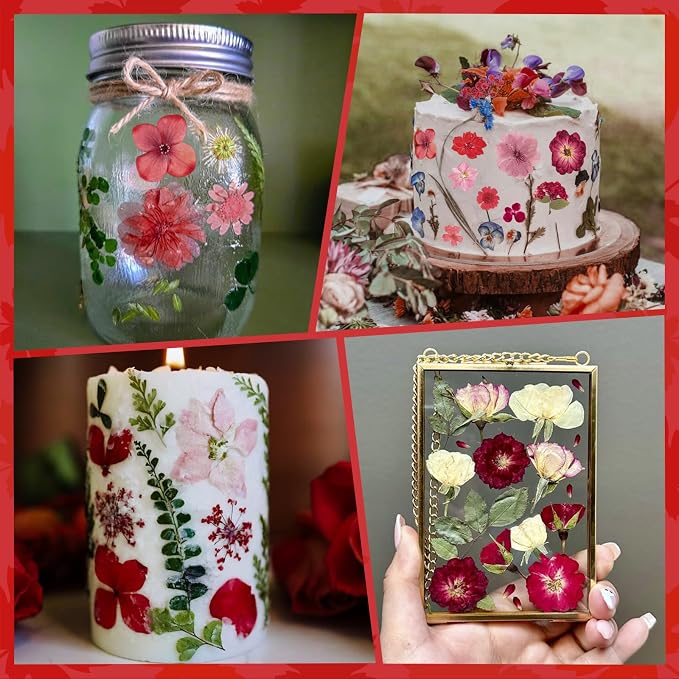 101 PCS Red Dried Pressed Flowers - Image 4