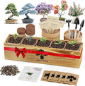Bonsai Tree Kit for Beginners by PLANTMEW