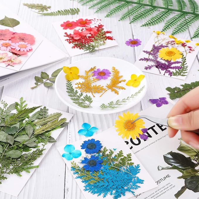 Nuanchu 109 Pieces Dried Pressed Flowers - Image 2