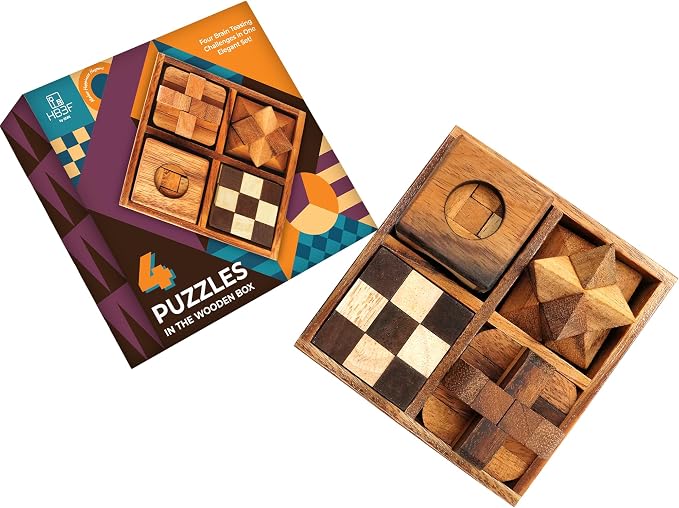 BSIRI 4 in 1 Wooden Brain Teaser Puzzles by HB3FbyBSIRI