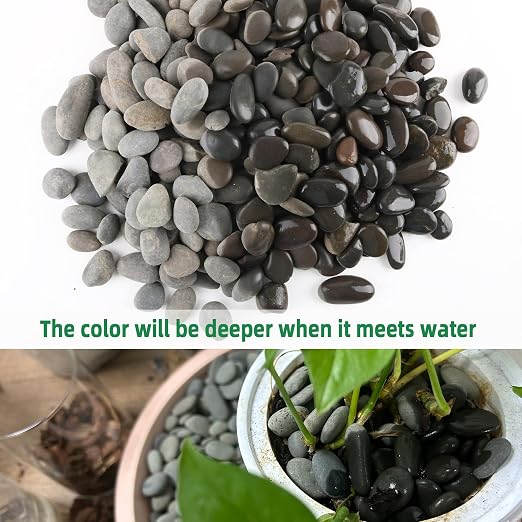 7LB River Rocks Mexican Beach Pebbles - Image 3