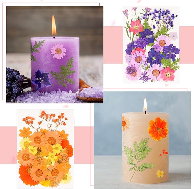 100 Pieces Dried Pressed Flowers - Image 5