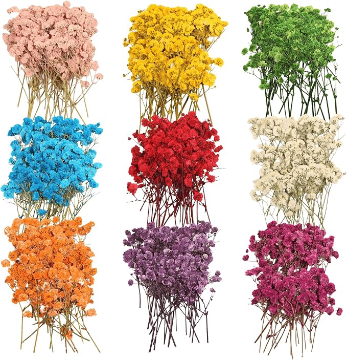 9 Pack Dried Flowers, Natural Pressed Flowers Kit by Unknown