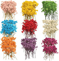 9 Pack Dried Flowers, Natural Pressed Flowers Kit by Unknown