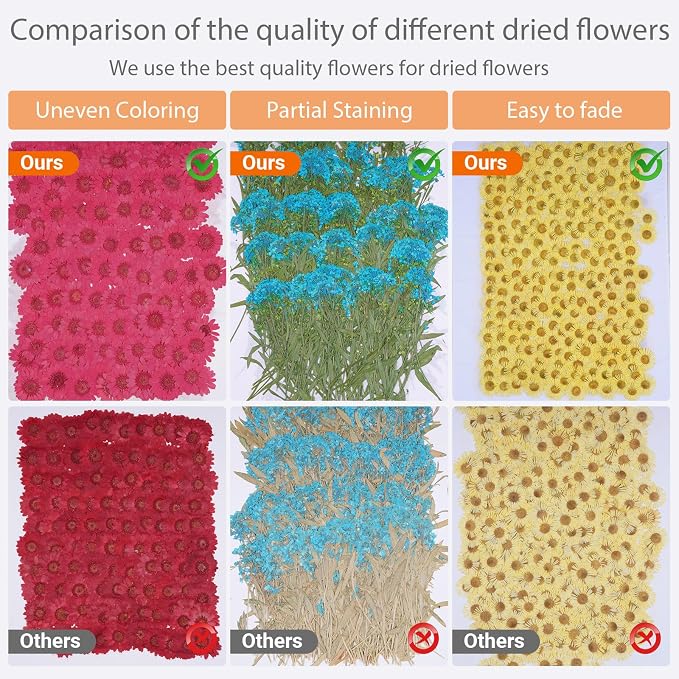 141Pcs Colorful Dried Pressed Flowers - Image 5