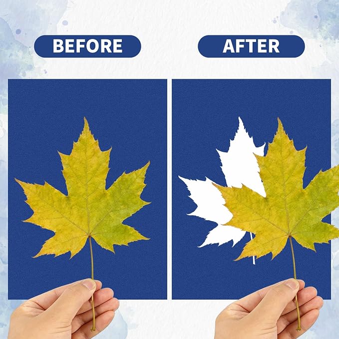 Cyanotype Kit with 50 Sheets Sun Print Paper & Acrylic Panel, Solar Printing - Image 4
