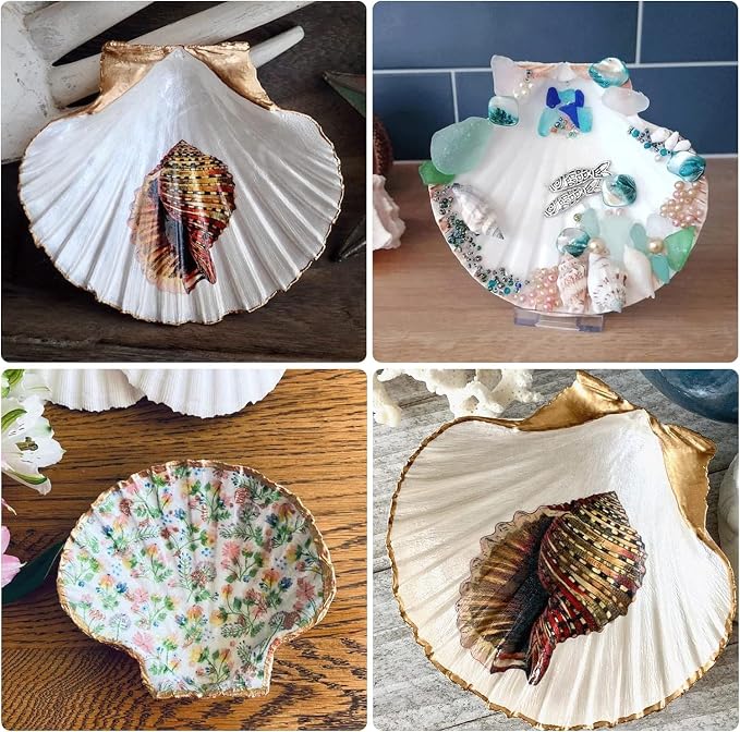 10PCS 4-5 Inch Large Sea Shells White Scallop Shells - Image 7