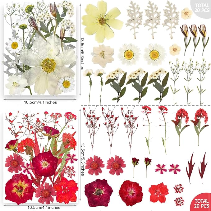 301Pcs Multi-Style Dried Pressed Flowers & Leaves - Image 4
