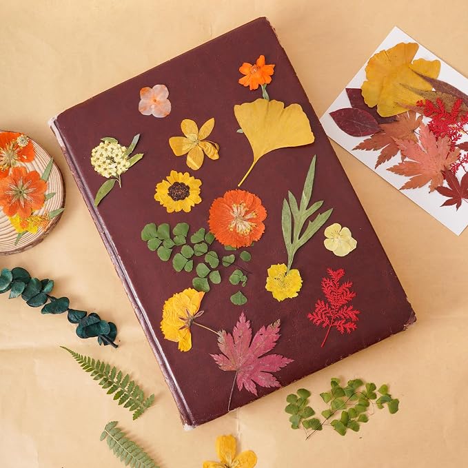 100 Pcs Fall Dried Pressed Flowers - Image 5