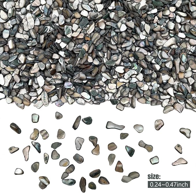 Crushed Shells for Crafts, Sea Shells for DIY Art, Vase Fillers Table Scatter - Image 5