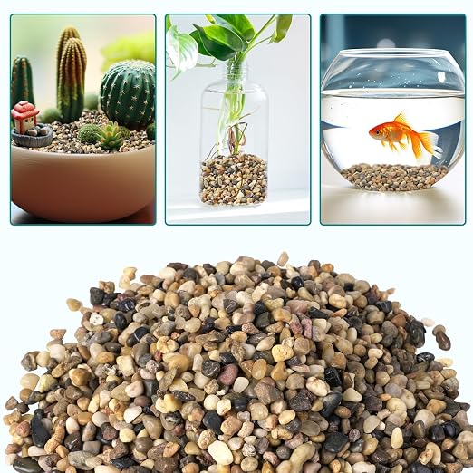 2.5 lbs Small Rocks for Plants, 1/5 Inch Gravel for Plants Drainage, Decorative - Image 5