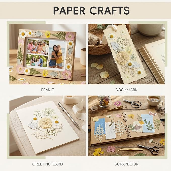 LUXEEASE 80P White Pink Dried Pressed Flowers | Ivory white palette, fits any - Image 5