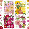 MIKIYA 86Pcs Dried Pressed Flowers by MIKIYA