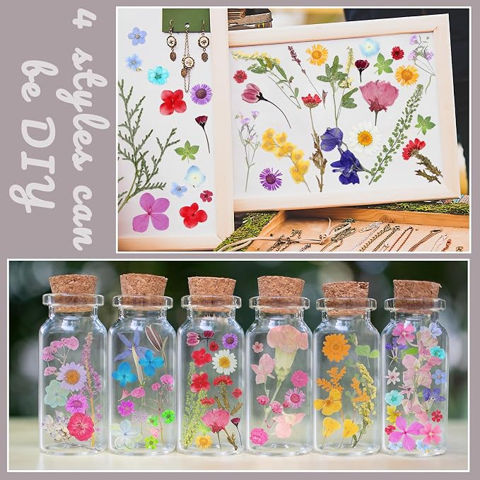 Nuanchu Small Dried Flower for Craft Resin Mini Pressed Flowers Bulk Real Tiny - Image 5