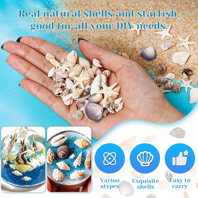 1200 Pieces Tiny Sea Shells Small Natural Starfish Mixed Ocean Beach Spiral - Image 4