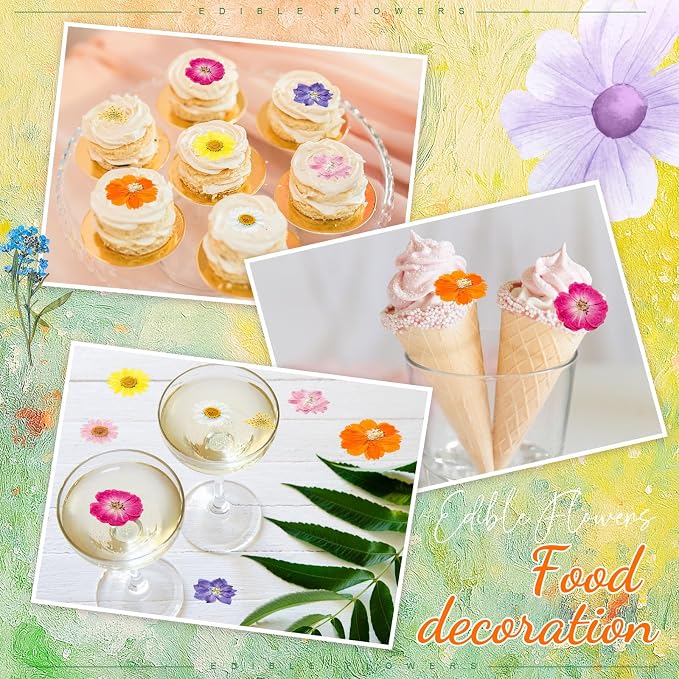 96 Pcs Natural Dried Pressed Flowers - Image 6