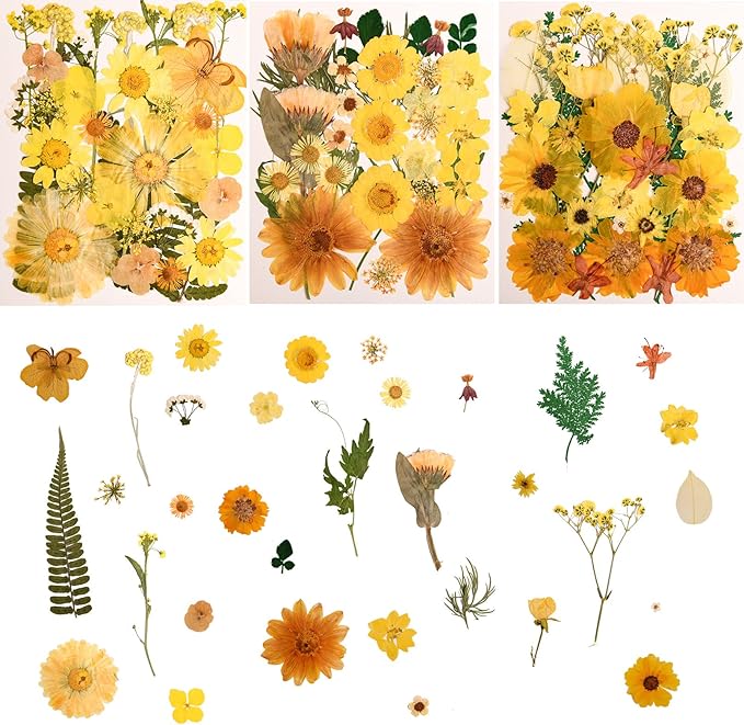 100 PCS Yellow Pressed Dried Flowers and Leaves by Cokosing