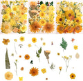 100 PCS Yellow Pressed Dried Flowers and Leaves by Cokosing
