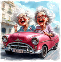 Legrace Old Lady Diamond Art Painting Kits by Legrace