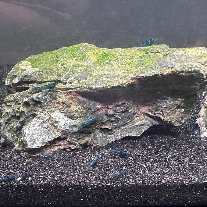 YISZM Aquarium Sand, 5lbs Black Fish Tank Sand, Aquarium Gravel Substrate - Image 2