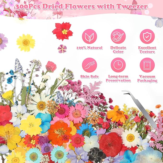 630 Pcs Dried Pressed Flowers - Image 7