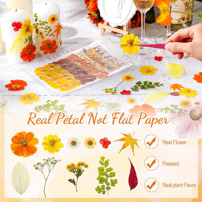 96 Pcs Natural Dried Pressed Flowers - Image 3