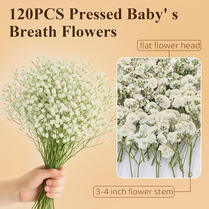 Dried Baby' s Breath Flowers Bulk - Image 2
