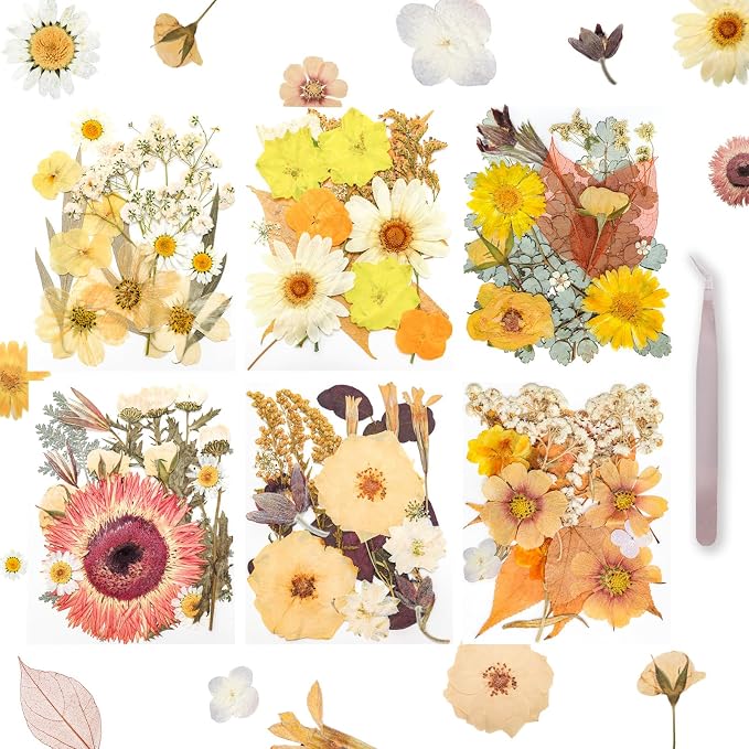 Dried Pressed Flowers Real Pressed Flowers Natural Dry Leaves Bulk Mixed by Gvhntk