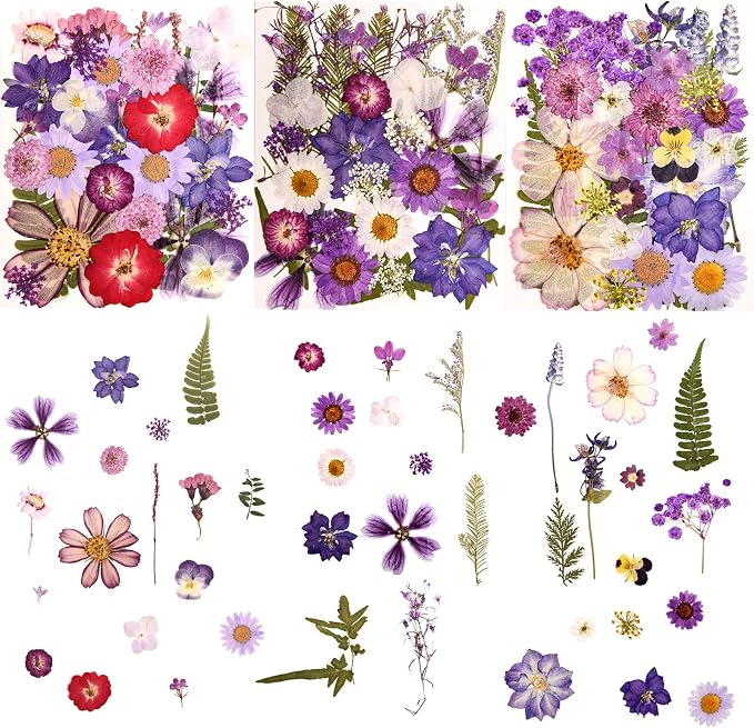 100 PCS Purple Pressed Dried Flowers and Leaves by Cokosing