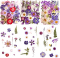 100 PCS Purple Pressed Dried Flowers and Leaves by Cokosing