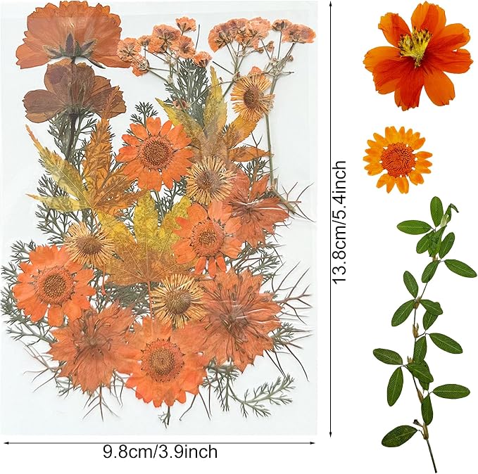 Woohome 4 Pack Dried Flowers for Resin Molds - Image 6