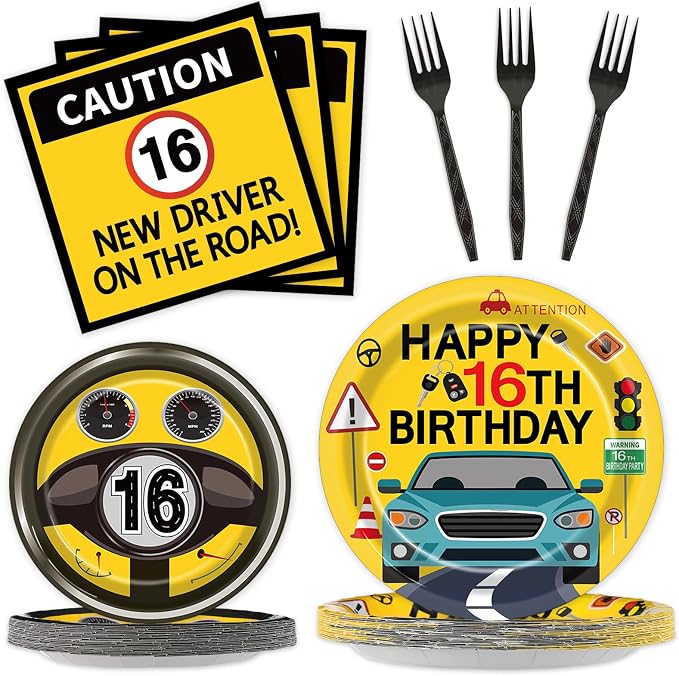 100 Pcs Drivers License 16th Birthday Party Decorations New Driver Car Plates by Qyeahkj