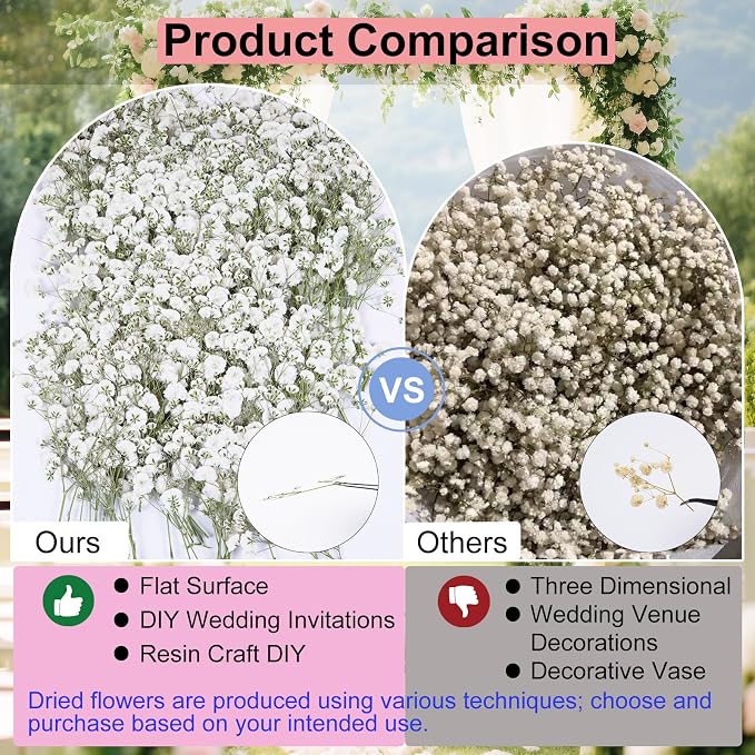 50Pcs Babys Breath Dried Pressed Flowers - Image 5