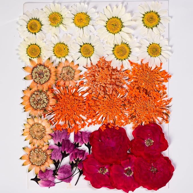 136pcs Dried Flowers for Resin, Dried Pressed Flowers for Crafts Bulk for - Image 6