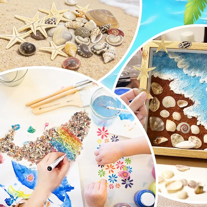 25 Types Small Sea Shells for Crafts - Image 6