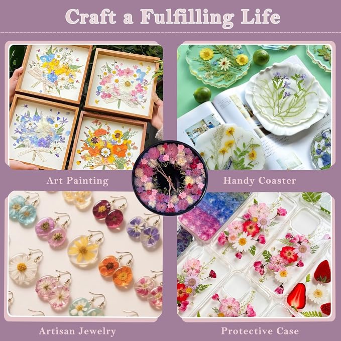 92 Pcs Dried Pressed Flowers Fruits - Image 4