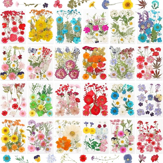 NESCCI 428 Pcs Dried Pressed Flowers by NESCCI
