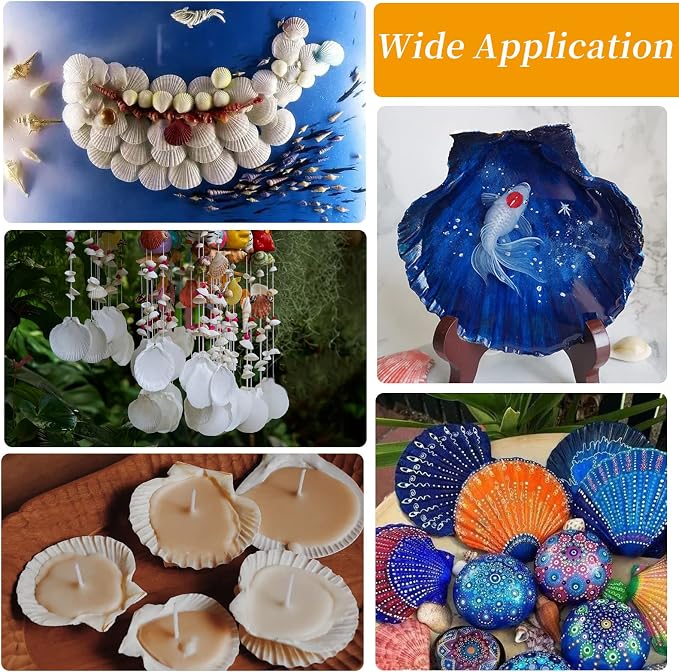 30PCS Natural Scallop Shells White Sea Shells - Image 5