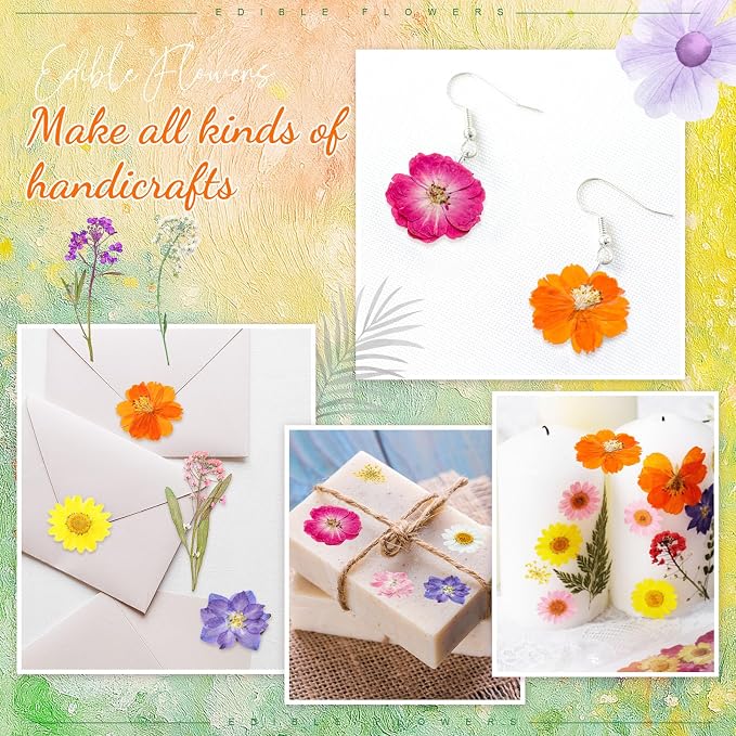 96 Pcs Natural Dried Pressed Flowers - Image 7