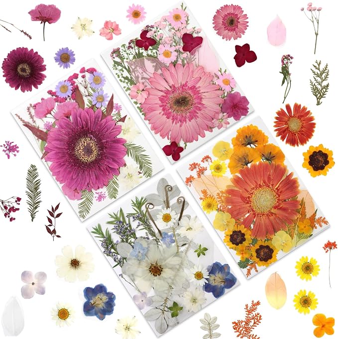 LUXEEASE 100P Vibrant Colors Large Dried Pressed Flowers | Gerbera daisy by LUXEEASE