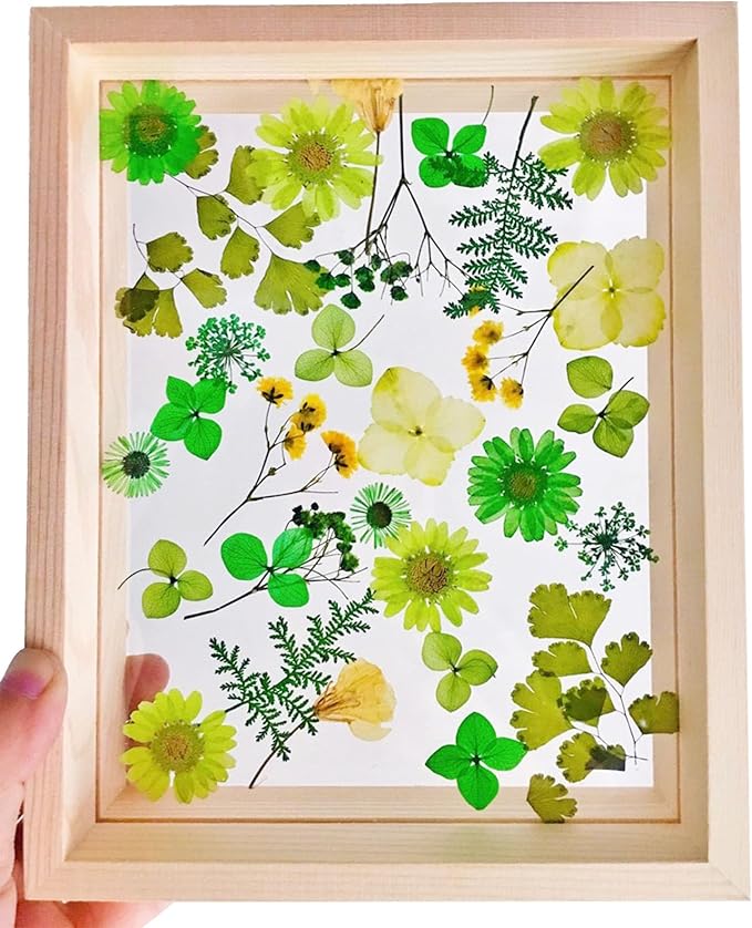Woohome Natural Dried Pressed Flowers Leaves - Image 3