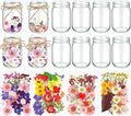Tinideya 154 Pcs DIY Pressed Flowers Mason Jar Set Pressed Flower Lanterns 12 by Tinideya